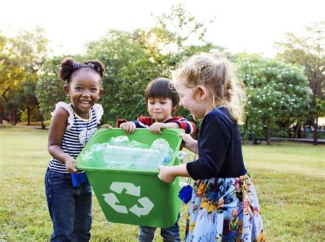 Acciones Para Cuidar El Medio Ambiente En El Colegio