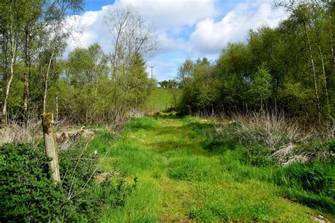 Grass Lane Rathfraggan Kenneth Allen Cc By Sa Geograph Ireland