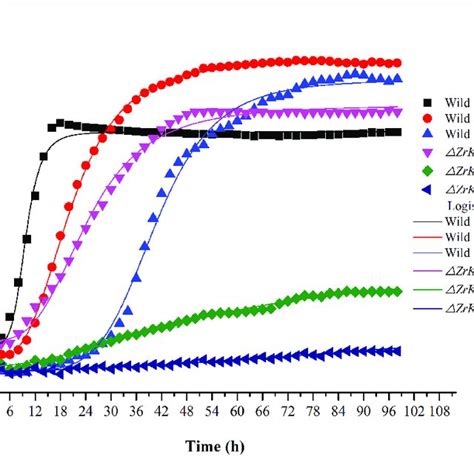 The Growth Of Wild Type Strain And Mutant Strain Under 2 40 And 60