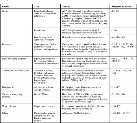 Type Ii Secretion Systems Semantic Scholar