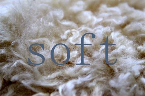 The Writing And Art Of Andrew Thornton Weekly Word Soft