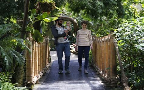 The Bloedel Conservatory: Vancouver's Tropical Oasis - Vancouver Planner