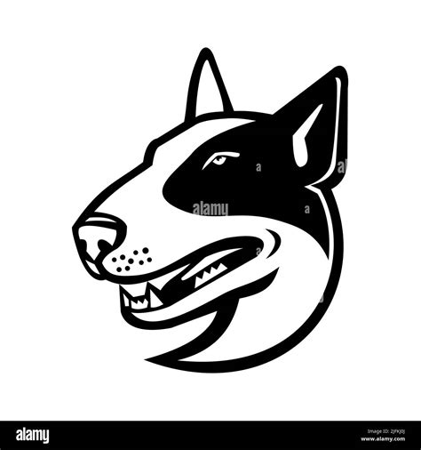 Bull Terrier Logo Black And White Stock Photos And Images Alamy