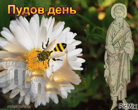 Пудов день - Free animated GIF - PicMix