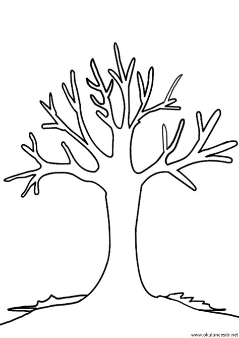 Sonbahar Boyama Sayfas Disegni Di Albero Sagoma Di Albero Disegni