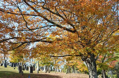 Massachusetts Fall Foliage Driving Tours