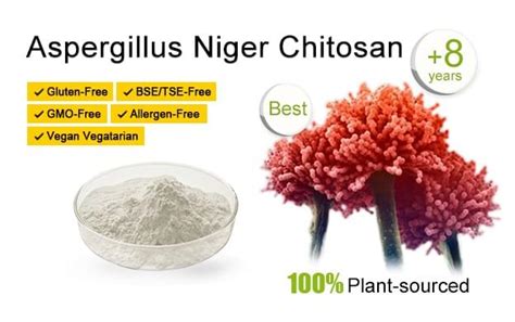 Chibio Biotech Manufacturer Of Vegetal Chitosan Fungal Chitosan