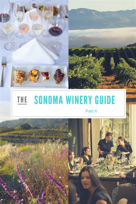 A Guide To Sonomas Best Winery Experiences Part 2 Sonoma Wineries