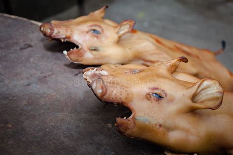 Barbecued Suckling Pig Stock Image Image Of Animals 39133725