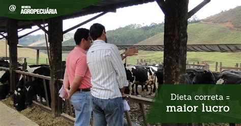 Curso De Manejo Nutricional De Gado De Leite Alimentos E Alimenta O