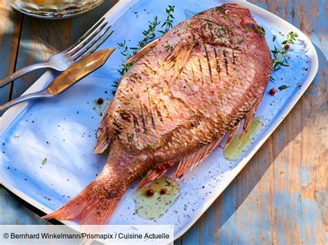 Dorade Grillée Au Pastis Facile Découvrez Les Recettes De Cuisine Actuelle