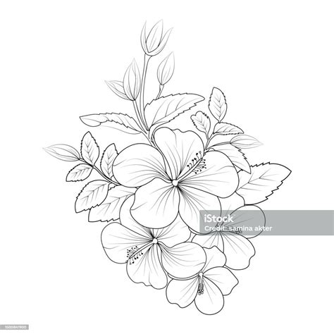 Hibiscus Flower Coloring Pages China Rose Flower Drawing Realistic ...