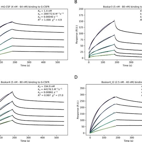 The Designs Bind To The Human G Csf Receptor Spr Titration Sensorgrams