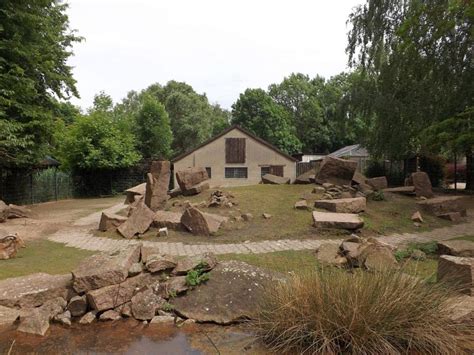 Tiergarten Delitzsch | Der Beutelwolf-Blog