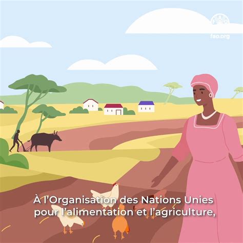 Fao En Fran Ais On Twitter Le Nouveau Cadre Pour La Gestion