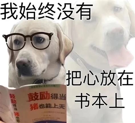 精神状态表情包 堆糖，美图壁纸兴趣社区