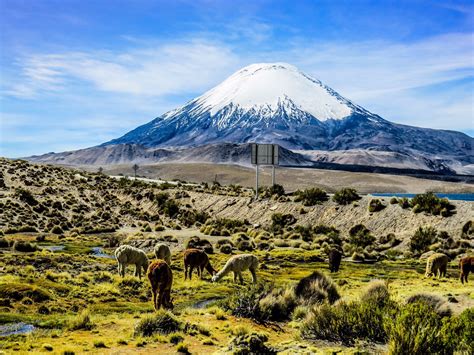 Regi N De Arica Y Parinacota Turismo Qu Visitar En Regi N De Arica Y