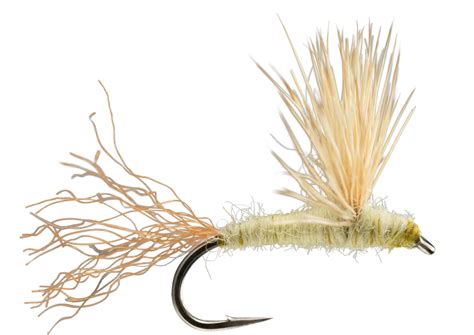 Sparkle Dun Trout Fly Best Spring Creek Dry Flies Buy Online The