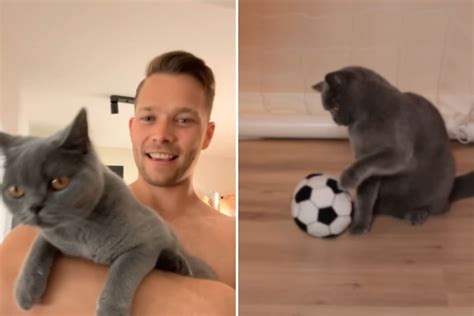 Vídeo Jogador treina gato para se tornar craque do futebol e resultado