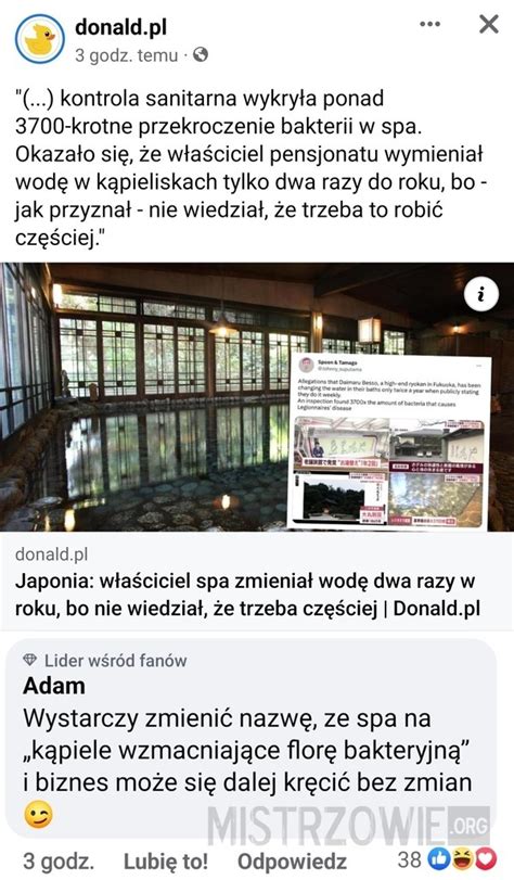 Mistrzowie Internetu Przeszczep W Os W W Turcji Przed I Po Joe