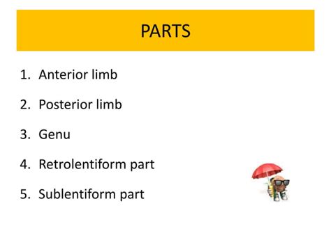 Internal Capsule-Anatomy | PPT