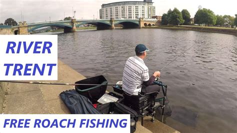 RIVER TRENT FREE Roach Fishing Urban Fishing On The Trent