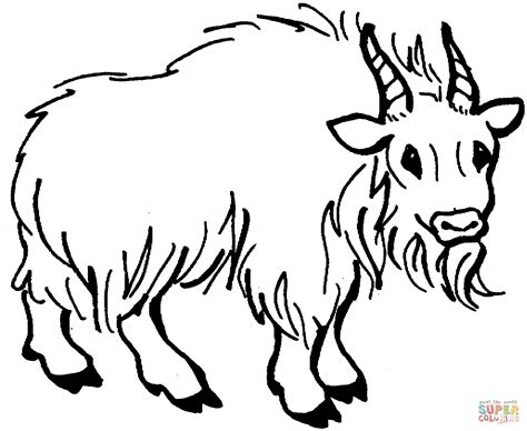 Goat Head Coloring Page Coloring Pages