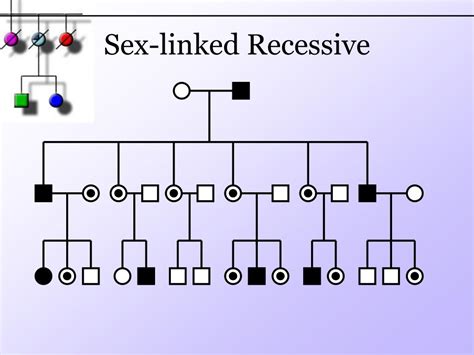 Ppt Pedigree Powerpoint Presentation Free Download Id6606991