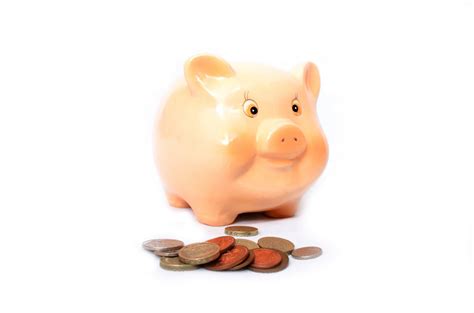 Pink Piggy Bank Free Stock Photo Public Domain Pictures