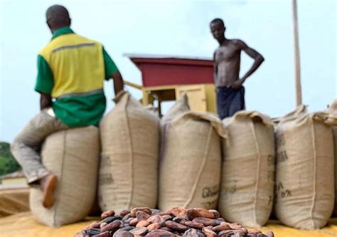 Côte dIvoire Les autorités et les planteurs ivoiriens unis contre la