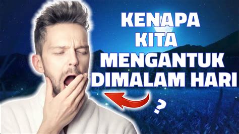 Kenapa Kita Selalu Mengantuk Dimalam Hari YouTube