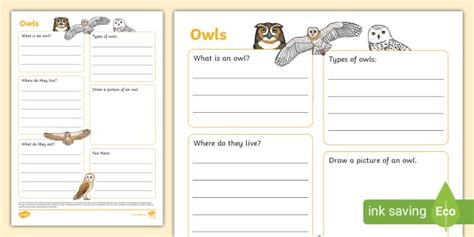 Owls Fact File Template Owls Barn Owls Lenseignant A Fait