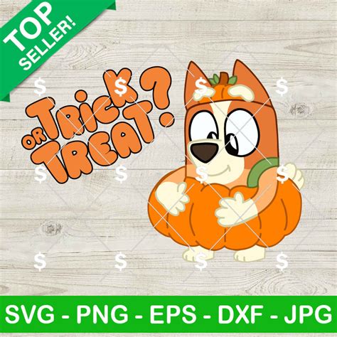 Bingo Pumpkin Trick Or Treat Svg Bingo Bluey Pumpkin Halloween Svg Png