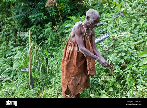 James One Of The Village Elders Of The Traditional Batwa Pygmies From