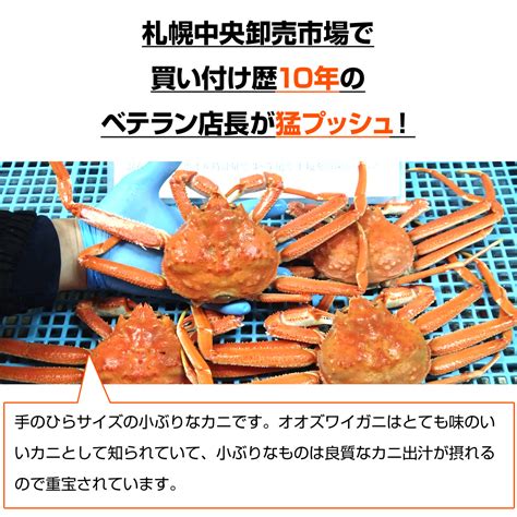 【生冷凍】北海道産 オオズワイガニ 5kg