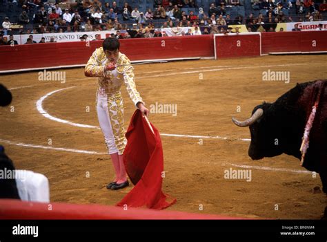 A matador and bull in Mexico City Bullfight Stock Photo - Alamy