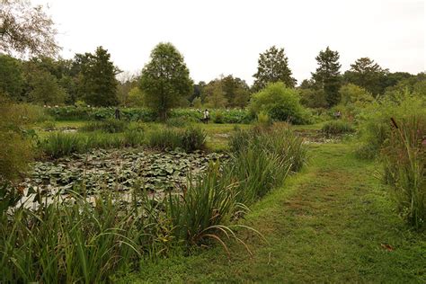 Kenilworth Park and Aquatic Gardens - ICPRB