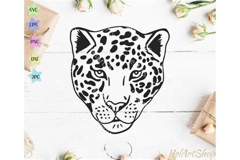 Leopard Svg Leopard Face Svg Cheetah Svg 554556 Cut Files