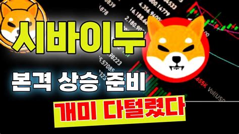 시바이누 코인 개미 다털렸으니 본격 상승준비 ~~~ 시바이누호재 시바이누전망 Youtube