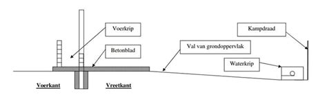 Basiese Vereistes Vir N Voerkraal Op Die Plaas Agriorbit