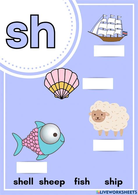 Basic Phonics Sh Worksheet Live Worksheets