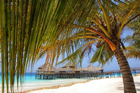 The Top 10 Beach Destinations In Tanzania