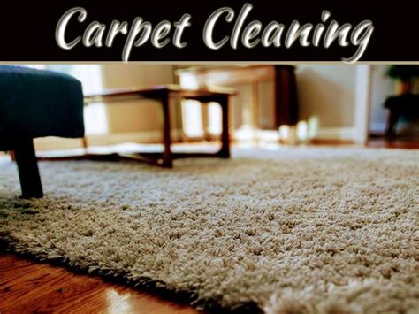 Steam Clean Stains From Carpet | www.resnooze.com