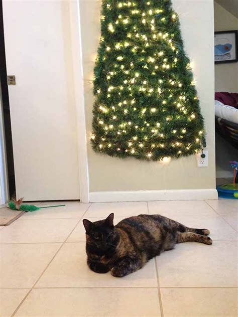 16 Genius Ways To Protect Your Christmas Trees From Cats We Love Cats