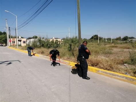 Limpian Fumigan Y Sanitizan Calles De La Colonia San Pedro