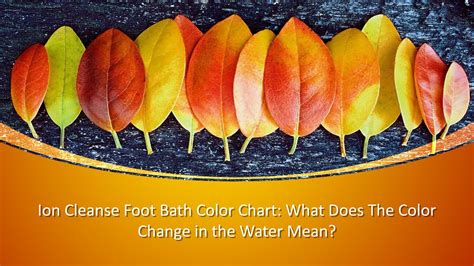 Ion Cleanse Foot Bath Color Chart : What Does The Color Change in the ...