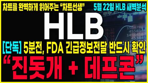 Hlb 에이치엘비 긴급공시 5분전 새벽긴급전략 제가 세력이라면 절대로 바로 안올립니다 결국 개인들의 투매후 급등자리가