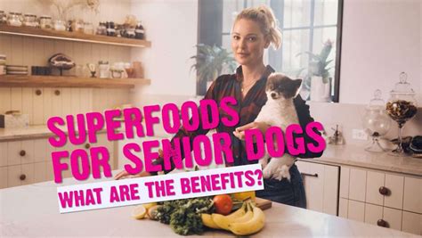 Superfoods For Senior Dogs • K9 Magazine