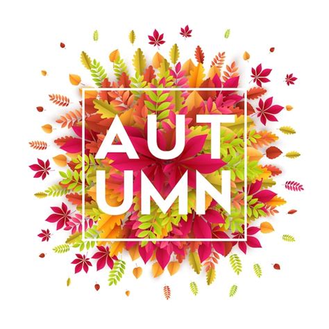 Premium Vector Hello Autumn Banner With Different Colored Autumn Leaves