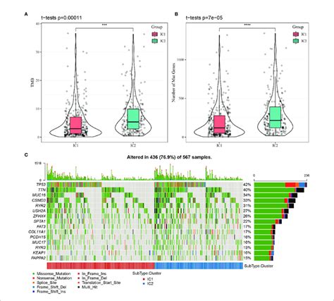 Relationship Between Tumor Mutation Burden Tmb And Molecular Download Scientific Diagram